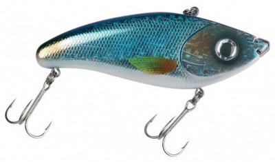 Screamin`Devil color Blue-Shiner